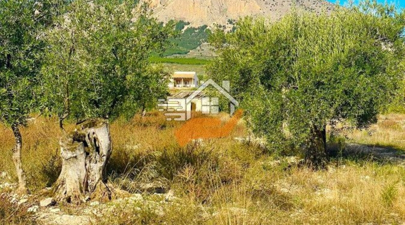 Almeria - Vélez-Rubio - 30000m2