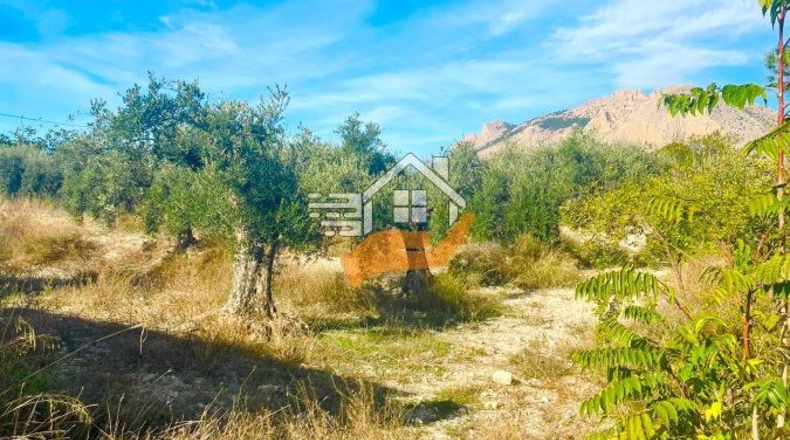 Almeria - Vélez-Rubio - 30000m2