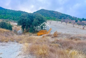 Vélez-Rubio 130000&nbsp;m² 