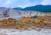 Finca rústica en venda a Vélez-Rubio ref.: TR367419 foto