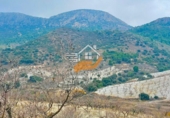Finca rústica en venda a Vélez-Rubio ref.: TR367419 foto