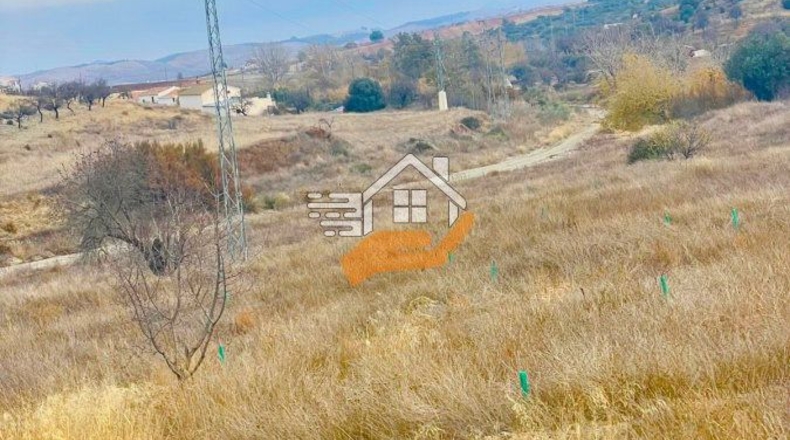 Almería - Vélez-Rubio - 130000m2