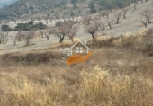 Finca rústica en venda a Vélez-Rubio ref.: TR367419 foto