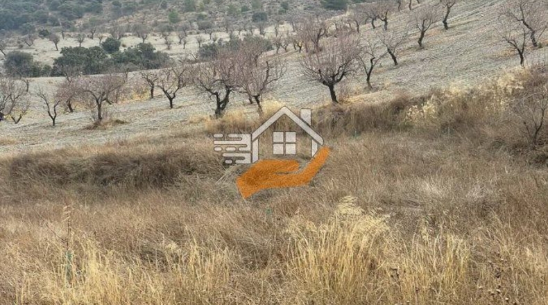Almería - Vélez-Rubio - 130000m2