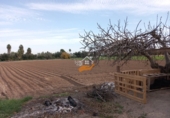 Finca rústica en venta en Murcia ref: TR372918 foto