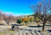 Terreno no urbanizable en venta en Vélez-Rubio ref: TR378686 foto