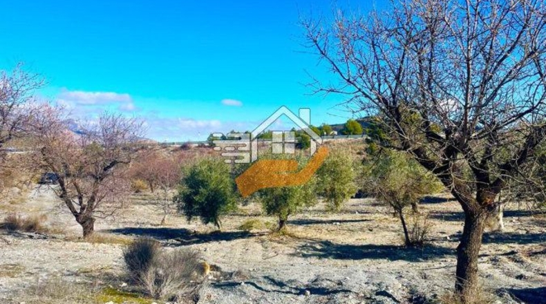 Almeria - Велес-Рубио - 87000m2