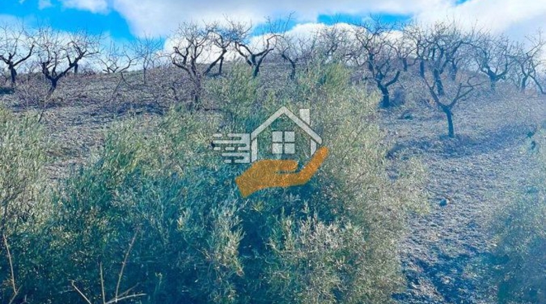 Almeria - Велес-Рубио - 87000m2