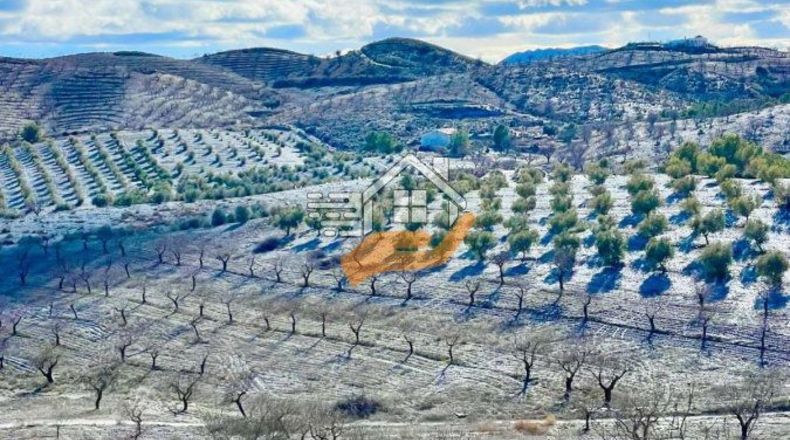 Almeria - Велес-Рубио - 87000m2