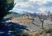 Terreno no urbanizable en venta en Vélez-Rubio ref: TR378686 foto