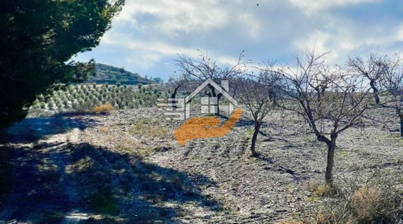 Almeria - Велес-Рубио - 87000m2