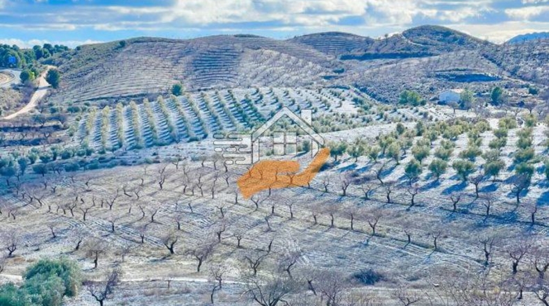 Almeria - Велес-Рубио - 87000m2