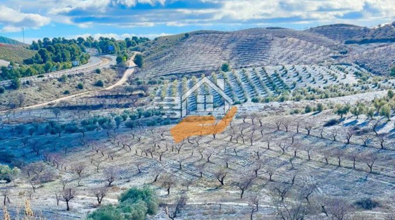 Almeria - Велес-Рубио - 87000m2