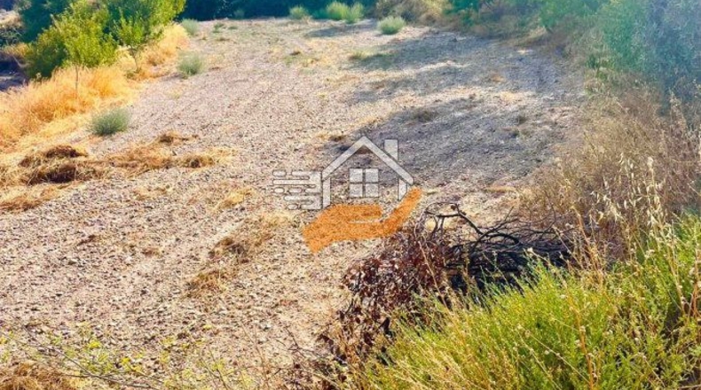 Almería - Vélez-Rubio - 22490m2