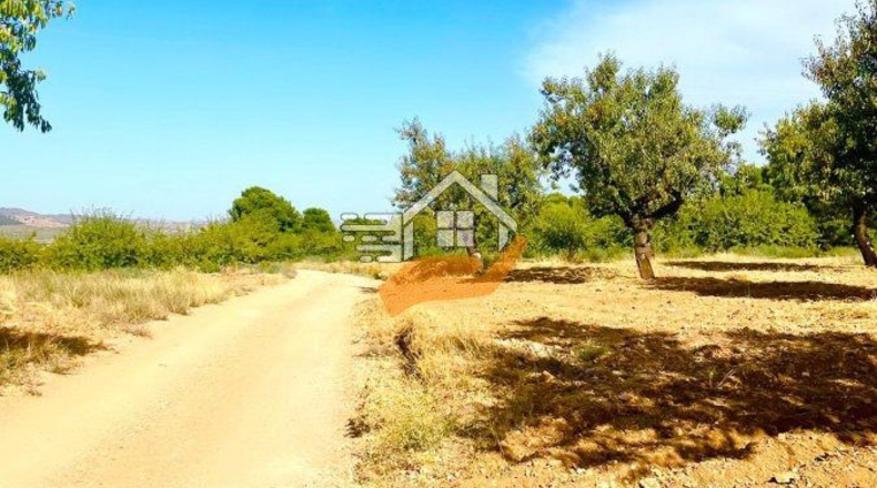 Almería - Vélez-Rubio - 22490m2