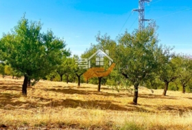 Foto 10