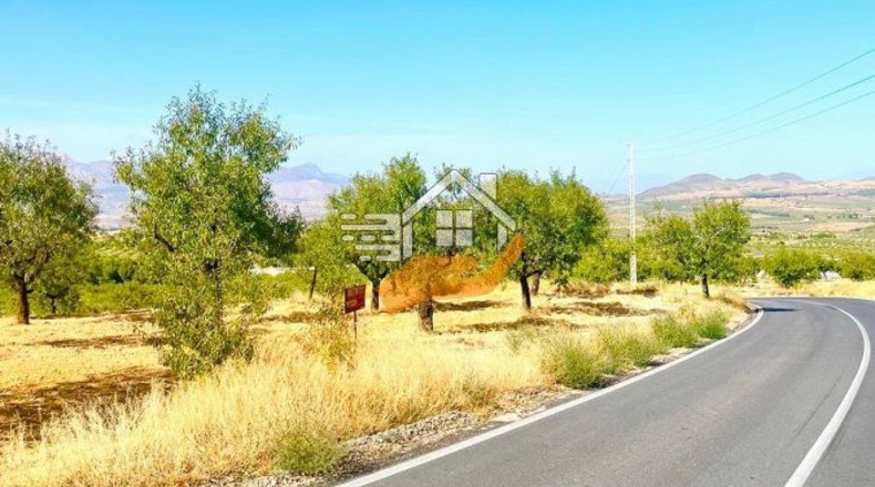 Almería - Vélez-Rubio - 22490m2