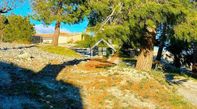 Almería - Велес-Рубио - 30974m2