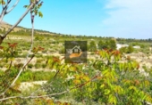 Rural estate for sale in Vélez-Blanco ref: TR108507 photo