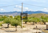 Rural estate for sale in Vélez-Blanco ref: TR108507 photo