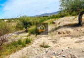 Rural estate for sale in Vélez-Blanco ref: TR108507 photo