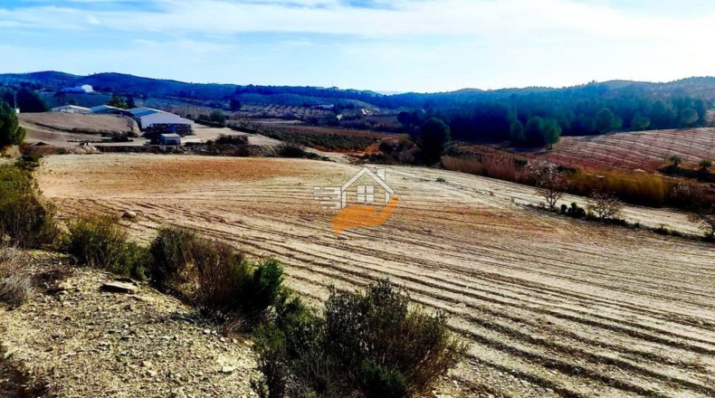 Almería - Vélez-Rubio - 70000m2