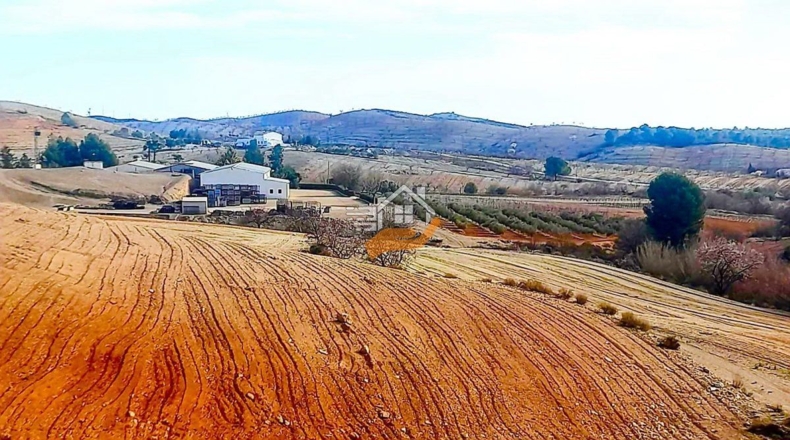 Almería - Vélez-Rubio - 70000m2