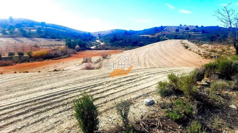 Almería - Vélez-Rubio - 70000m2
