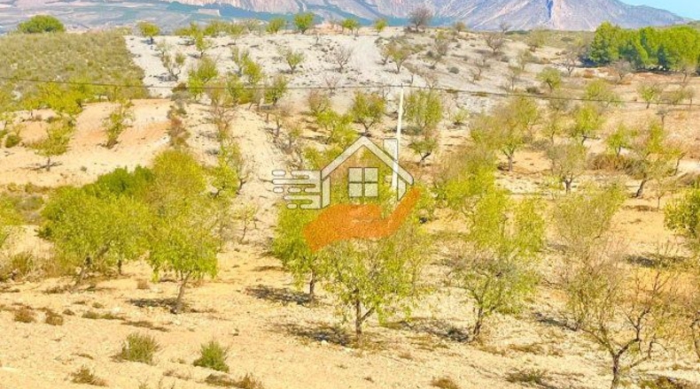 Almeria - Vélez-Rubio - 130000m2