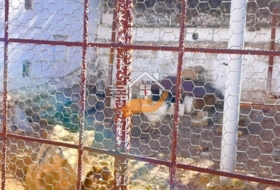 Foto 15