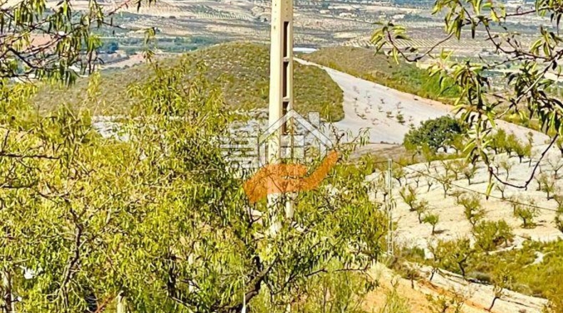 Almeria - Vélez-Rubio - 130000m2
