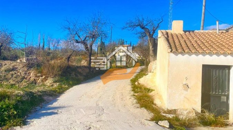 Almería - Vélez-Rubio - 4000m2
