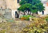 Xalet adossat amb terreny en venda a Vélez-Blanco ref.: TR374470 foto