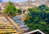Xalet adossat amb terreny en venda a Vélez-Blanco ref.: TR374470 foto