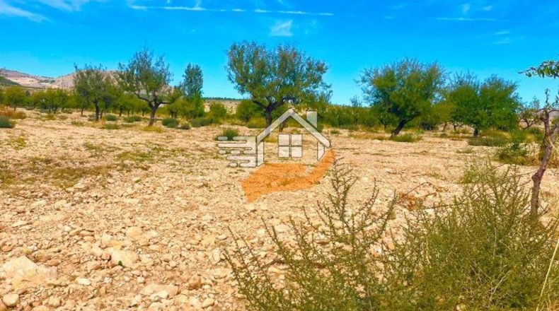 Almería - Vélez-Blanco - 30000m2