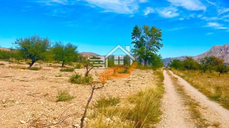 Almería - Vélez-Blanco - 30000m2