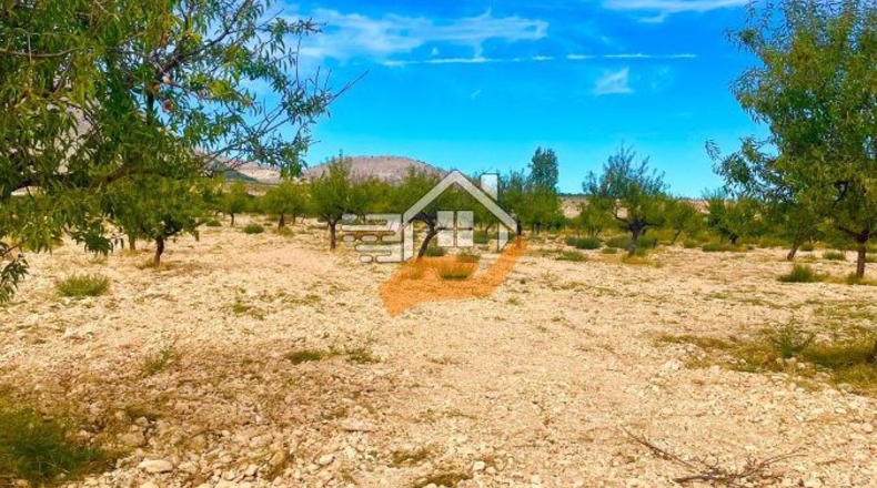 Almería - Vélez-Blanco - 30000m2