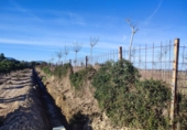 Non-developable land for sale in Sueca ref: TR109497 photo