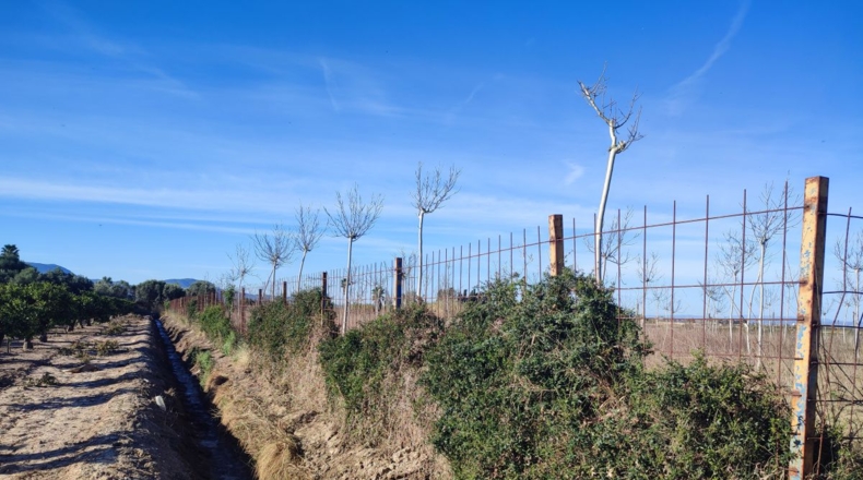 Valencia - Sueca - 6344m2