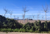 Non-developable land for sale in Sueca ref: TR109497 photo