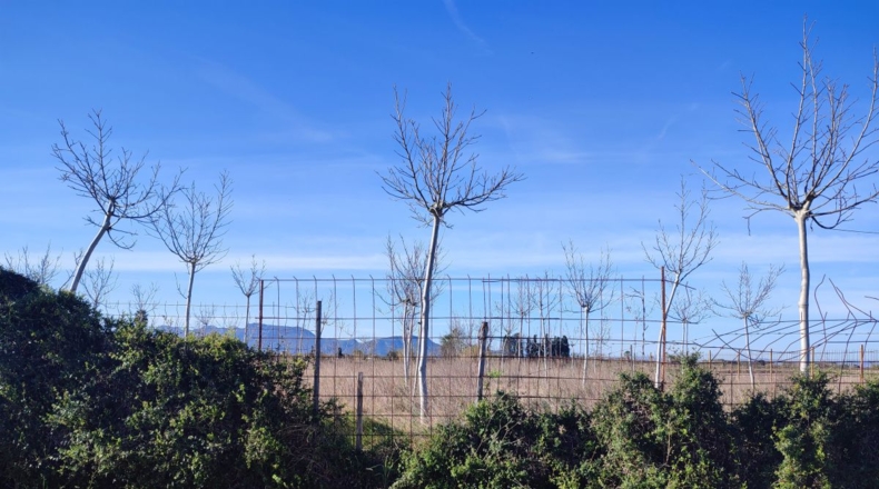 Valencia - Sueca - 6344m2