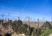 Non-developable land for sale in Sueca ref: TR109497 photo