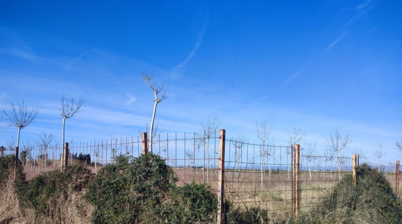 Valencia - Sueca - 6344m2