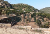 Non-developable land for sale in Alzira ref: TR109495 photo