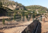 Non-developable land for sale in Alzira ref: TR109495 photo