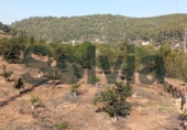 Non-developable land for sale in Alzira ref: TR109495 photo
