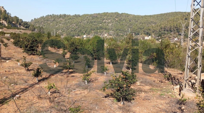 Valencia - la Barraca d'Aigües Vives - 60000m2