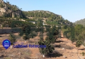 Non-developable land for sale in Alzira ref: TR109495 photo