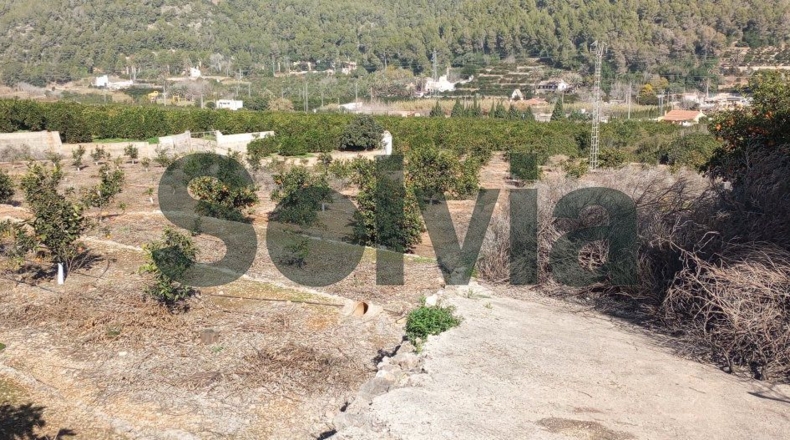 Valencia - la Barraca d'Aigües Vives - 60000m2