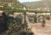 Non-developable land for sale in Alzira ref: TR109495 photo